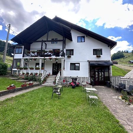 Pensiunea Rodica Моечиу-де-Сус Экстерьер фото