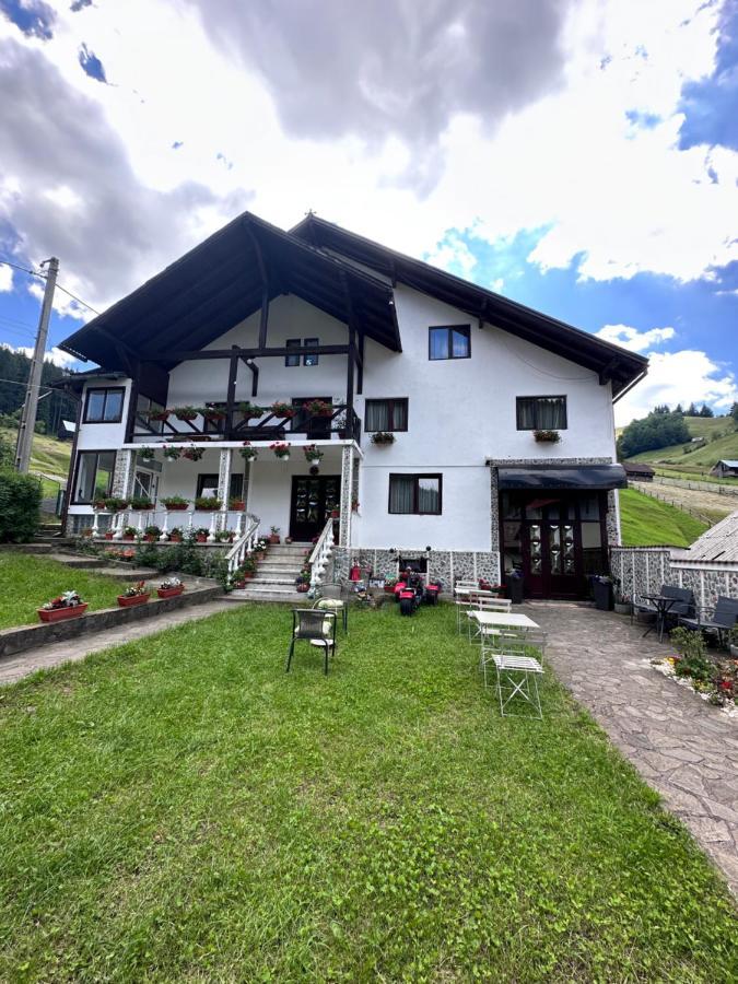 Pensiunea Rodica Моечиу-де-Сус Экстерьер фото